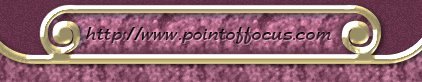 footer graphic