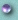 bullet