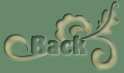 go to the previous page