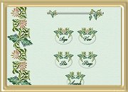 Flora Preview